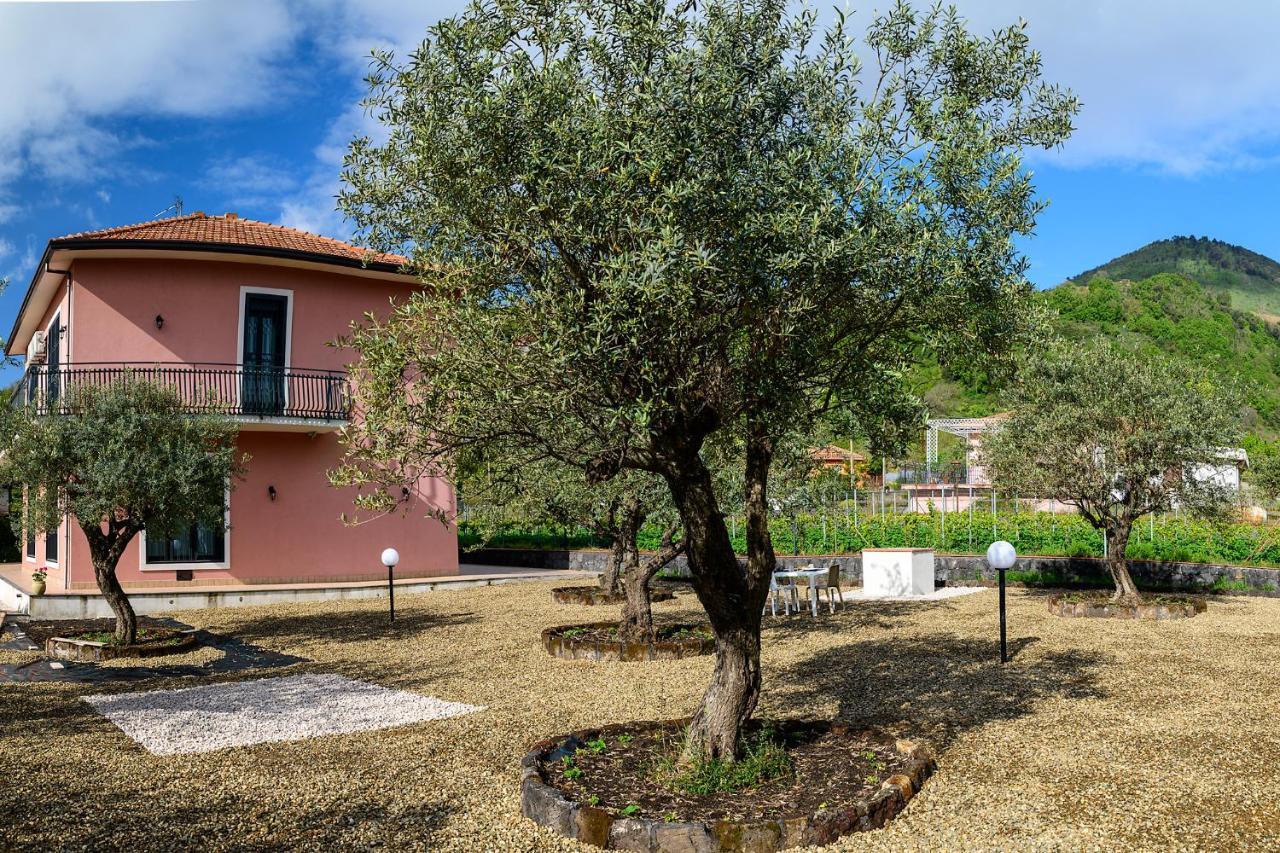 Bee Happy - Bed And Breakfast Zafferana Etnea Exterior foto